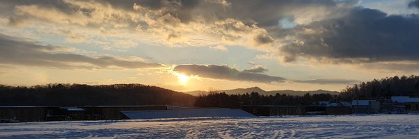 Sharon__Seah Profile Banner