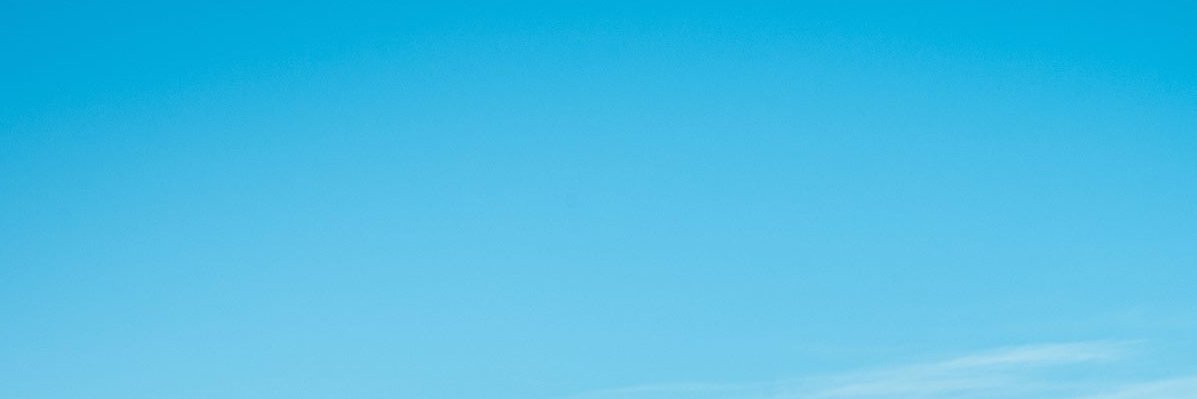 Yoenní almonte banner