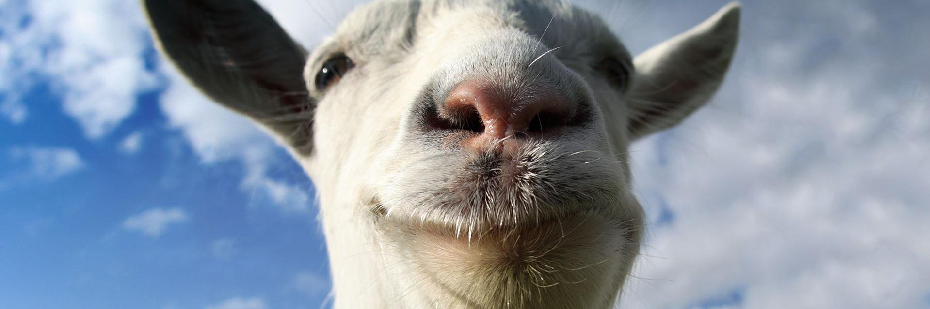 Pablo Wittner banner