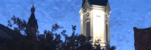 ZachStewartMD Profile Banner