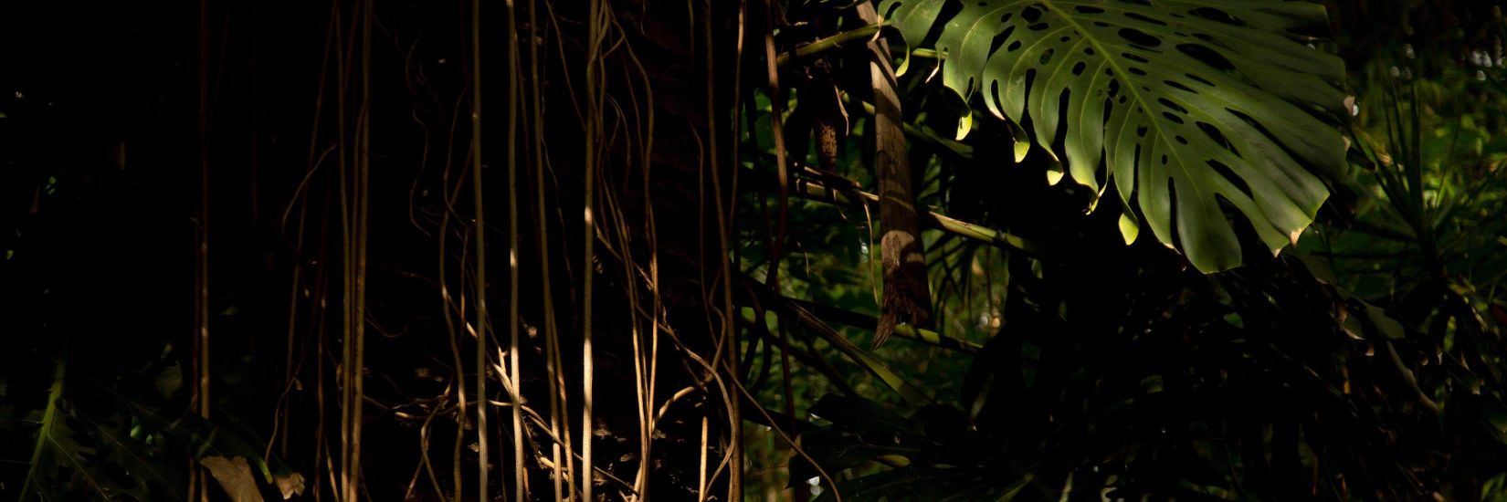 M_Ines_'s profile banner image