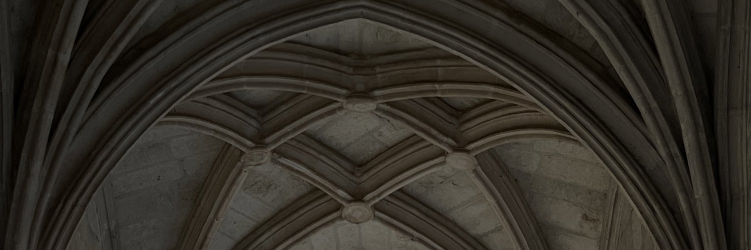 LauraHCH4's profile banner image
