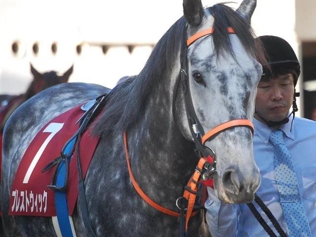 ashigeuma104's profile banner image