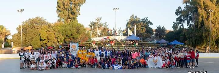 fnhlchile's profile banner image
