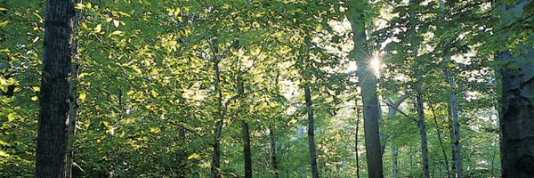 ATaylorKelley Profile Banner