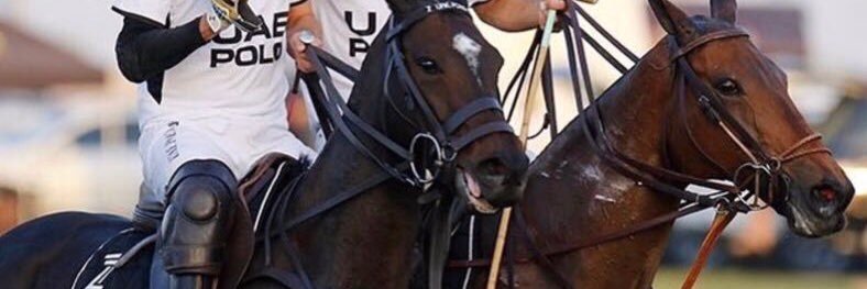 UAE POLO TEAM banner
