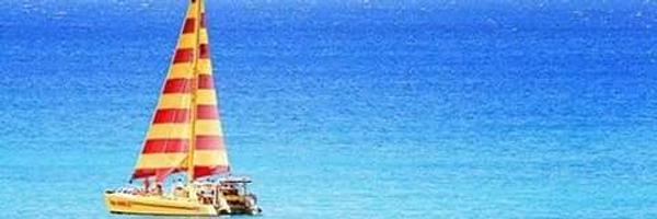 yococoalon Profile Banner