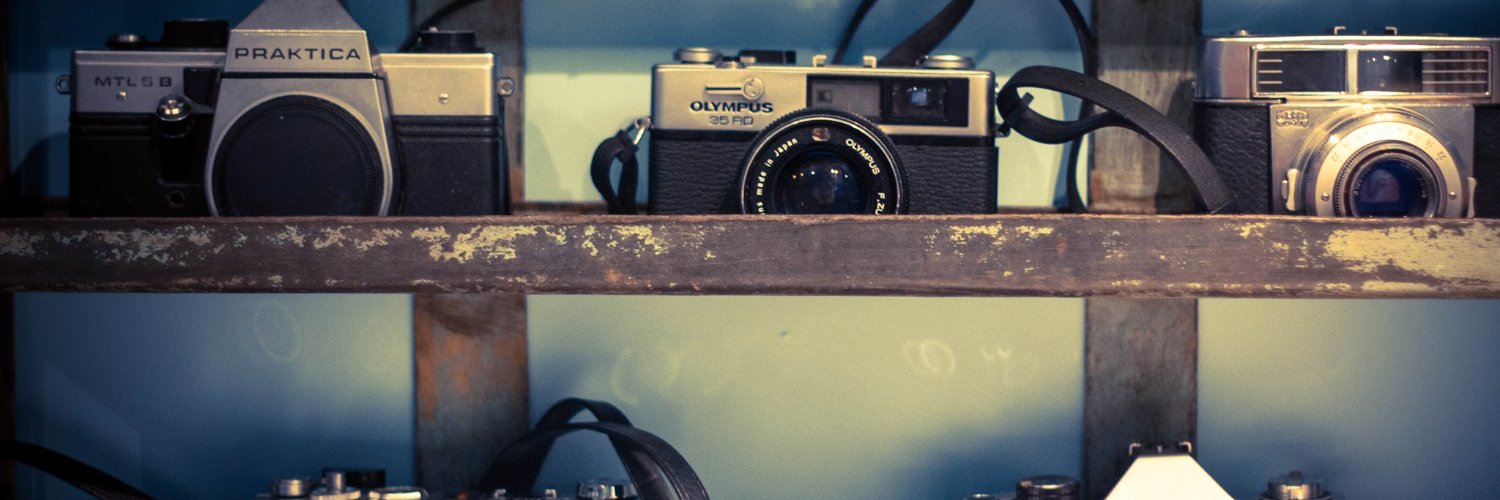 Rowynn Dumont banner