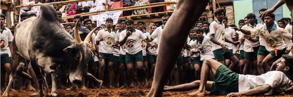 sathish062's profile banner image