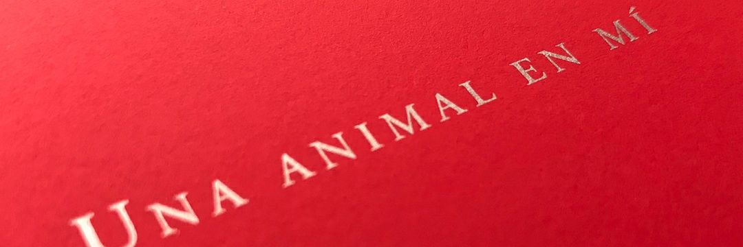 JulianeAngeles's profile banner image