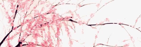 NiceT's profile banner image