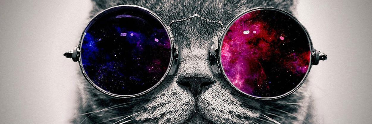 Branelli's profile banner image