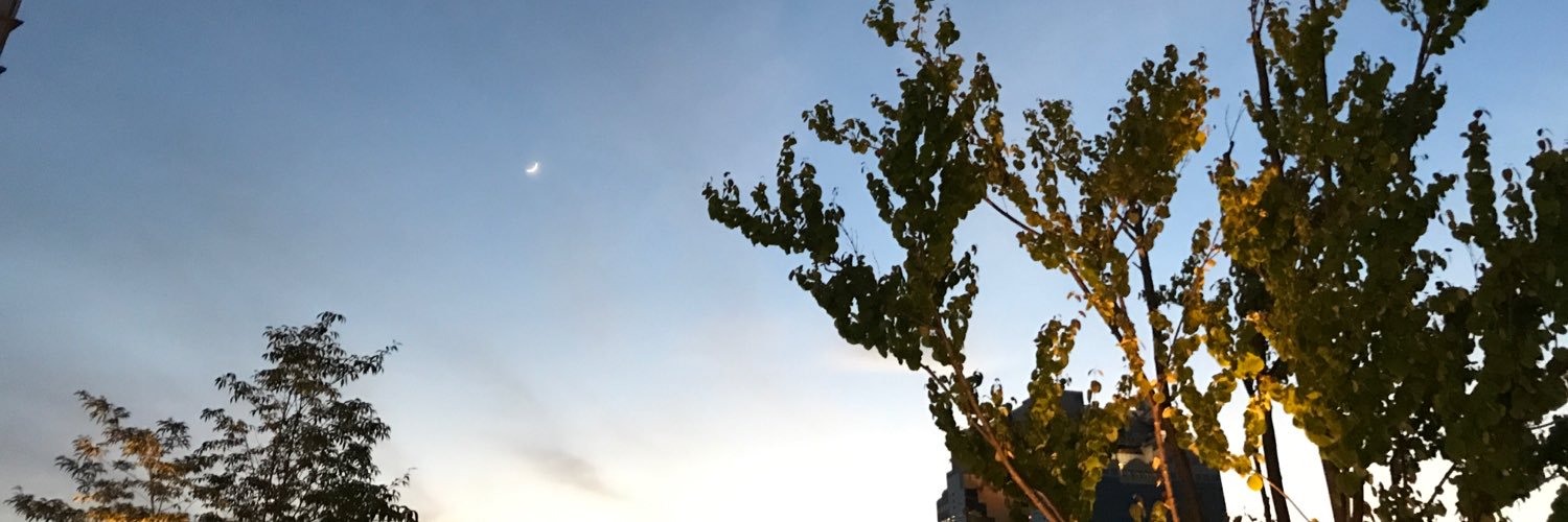 saatookooo's profile banner image
