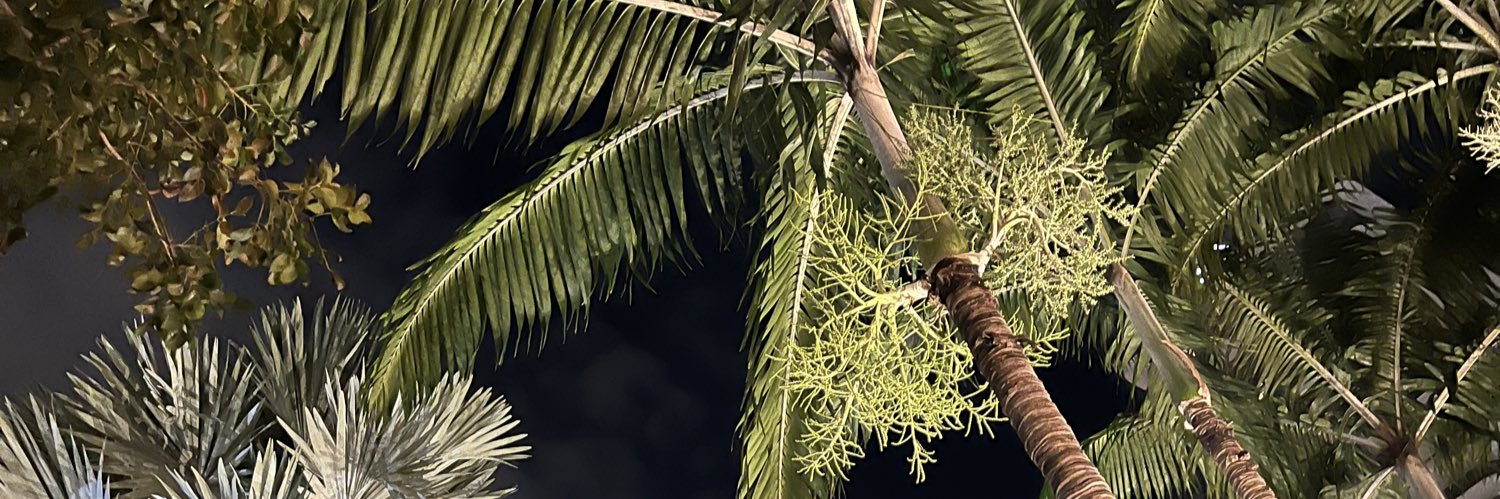 toliviaaa's profile banner image