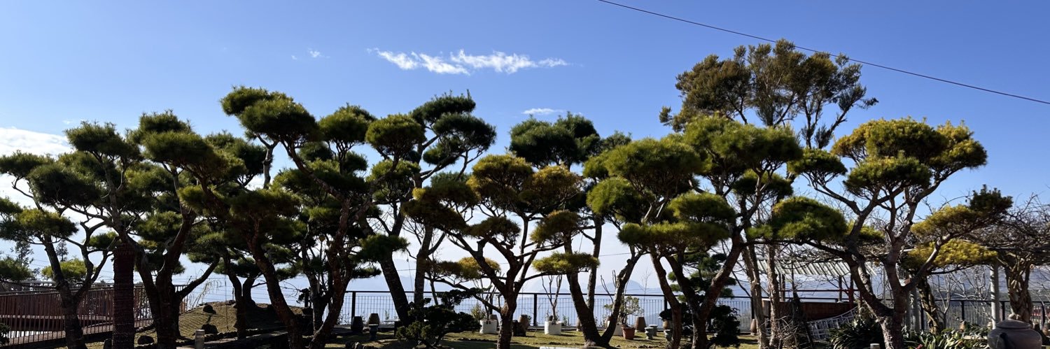 This is Zilli banner