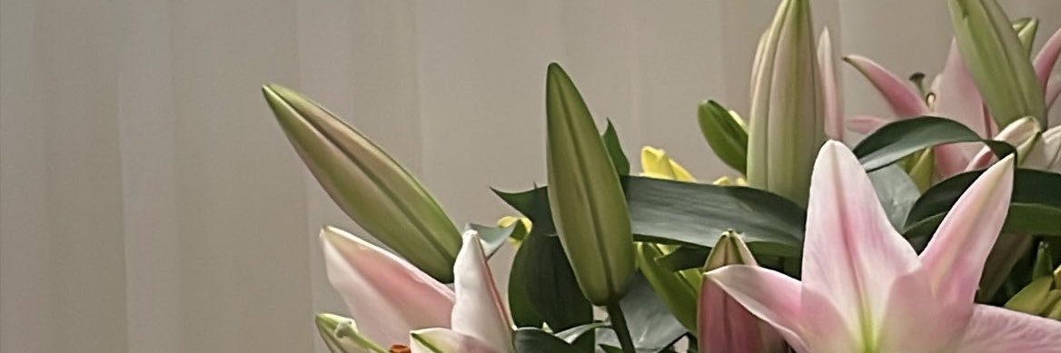 𝗥𝗮𝘆𝗮𝗻🇴🇲 banner