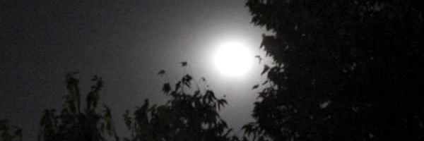 RaisingHale's profile banner image
