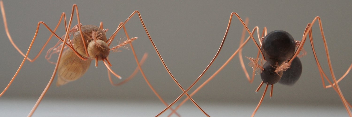 Jessica Zung banner
