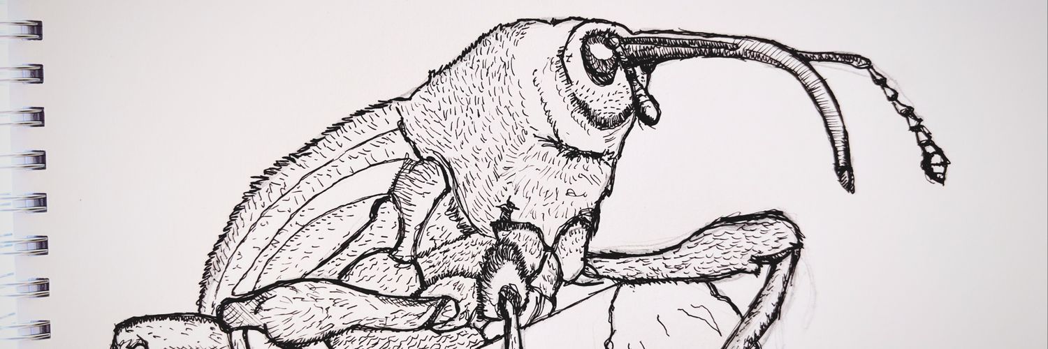 ropognik's profile banner image