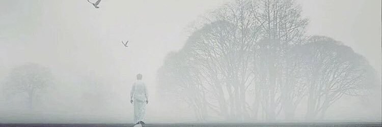 _12389's profile banner image