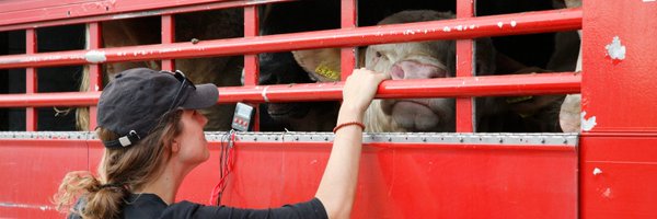 AnimalsAngelsEV Profile Banner