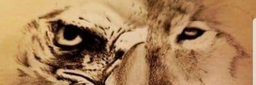 bozokluoglu15's profile banner image