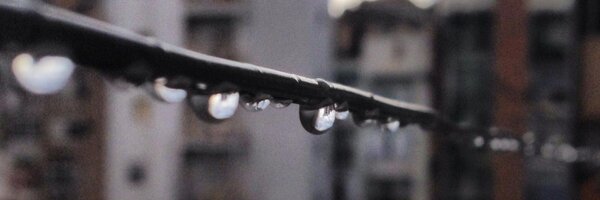 eljoan Profile Banner