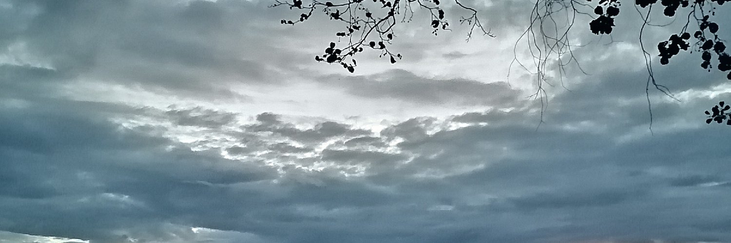 mrepzz's profile banner image