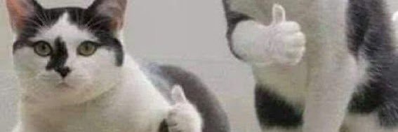 りら banner