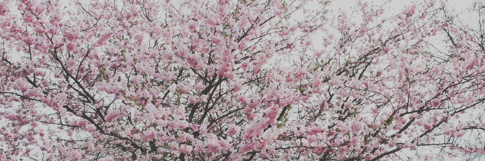m1tbus's profile banner image