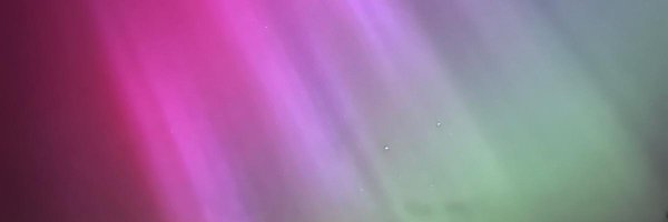 RachelBartonSLT Profile Banner
