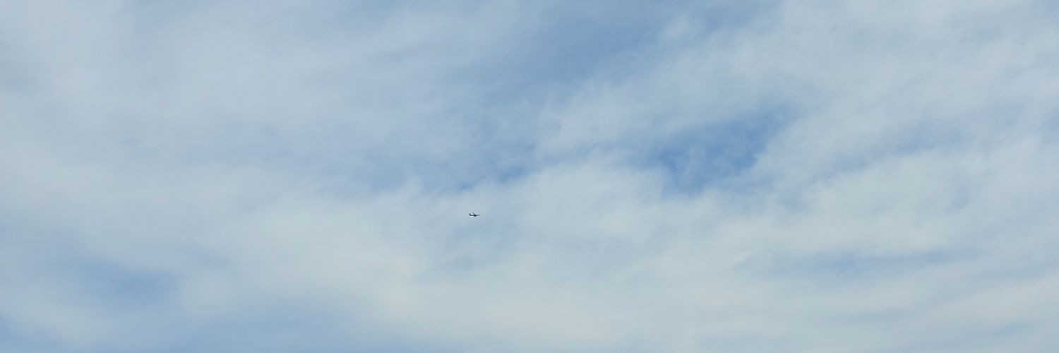 nstsiiaa's profile banner image