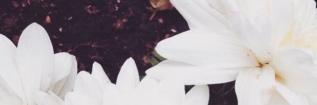 dololam's profile banner image