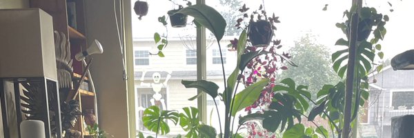 ToriTimeStudio Profile Banner