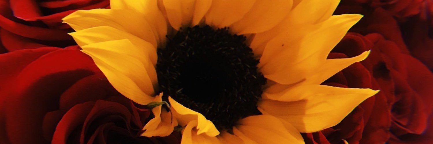 ASHmuthafknLEY's profile banner image