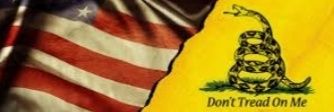 Jason Davis🇺🇸 banner