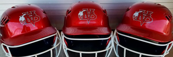 VBHS_Softball Profile Banner