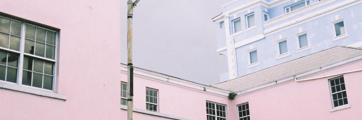 Jorgie D banner