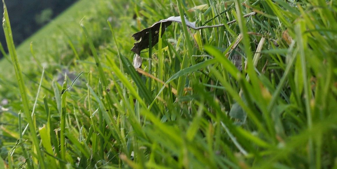Matěj Konáš banner