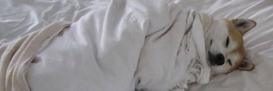 FenterMino's profile banner image