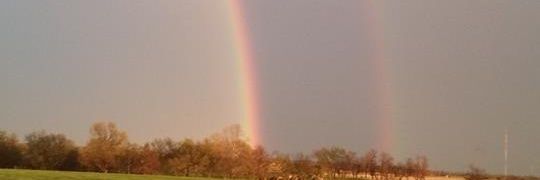 T.tunnell banner