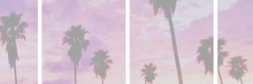 _bjaxx's profile banner image