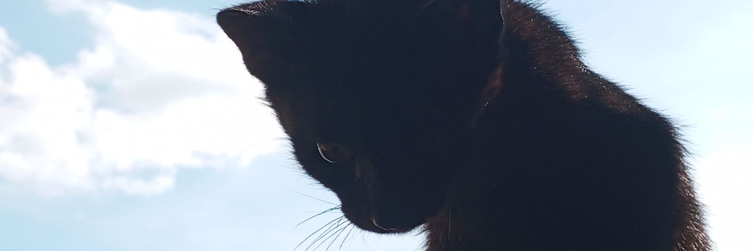 Celim SCCP ✞ banner