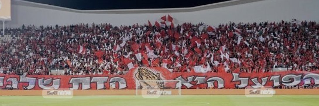 Yotam Bareket's banner