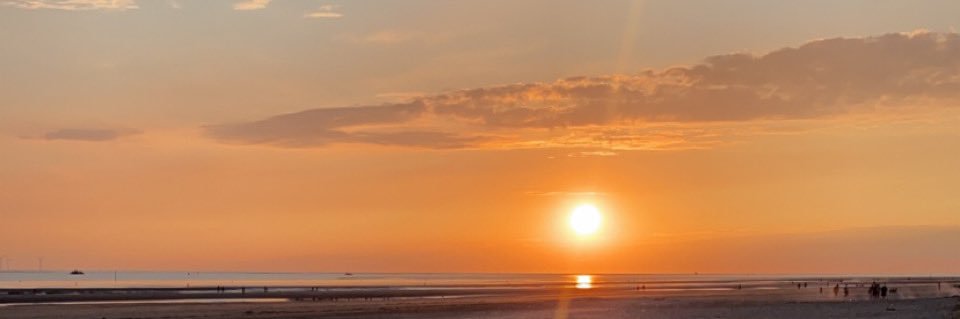 CallumsTraps's profile banner image