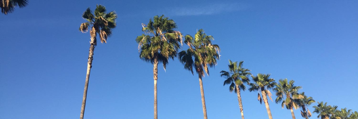 Ceylan Hepiş banner
