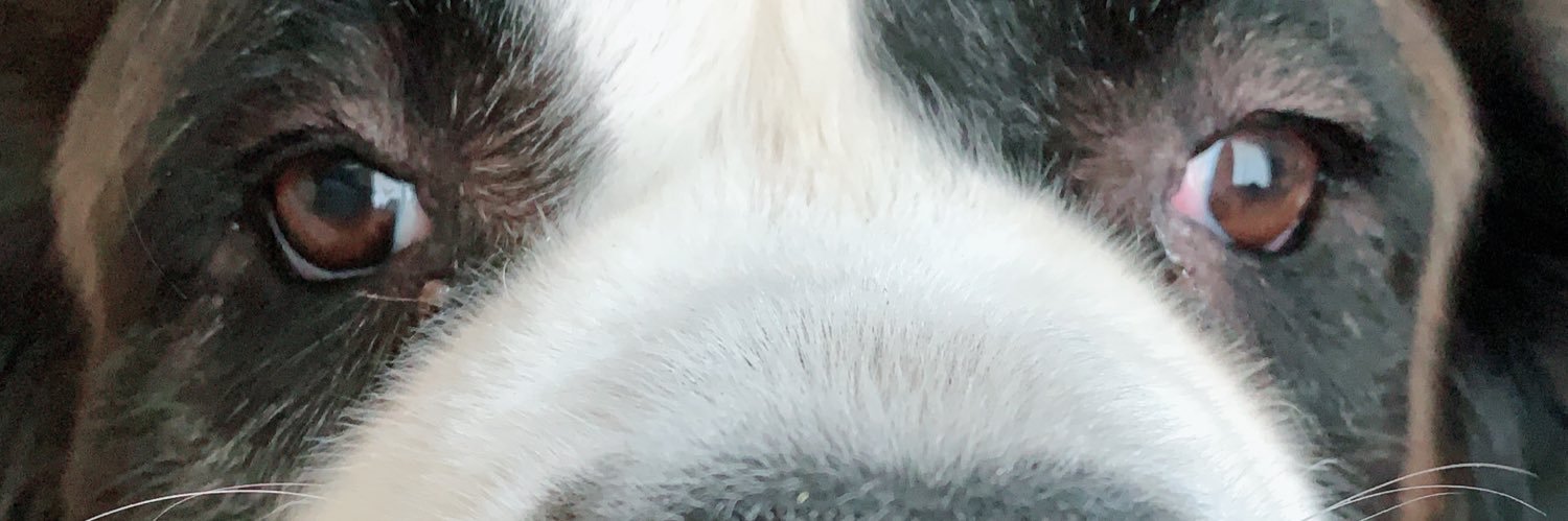 323FC's profile banner image