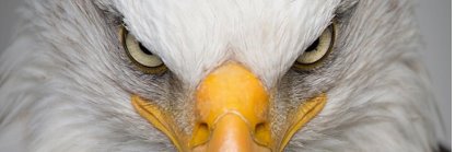 FollowTheMoney banner