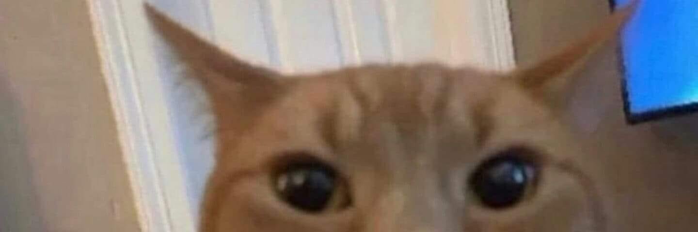 MTS | BREW 名護 banner