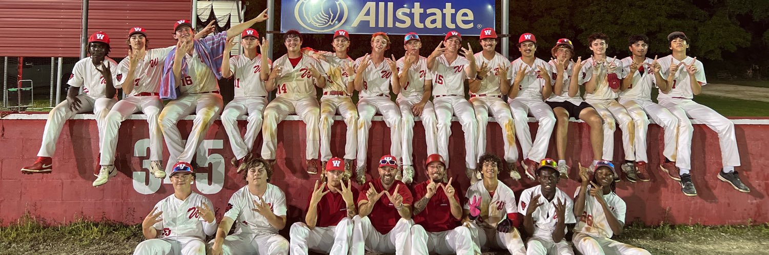 Williston Baseball banner